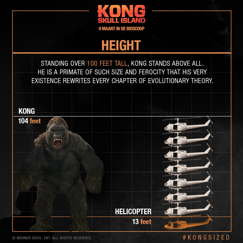 King kong height profilesloxa